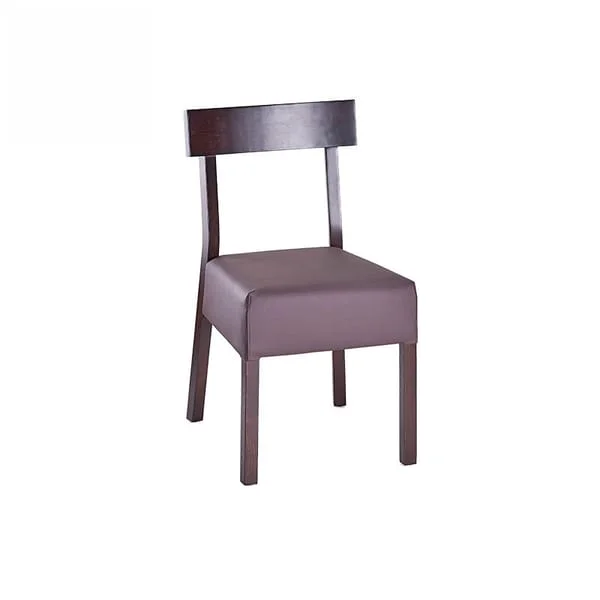 Minimalist Dark Wood Dining Chair