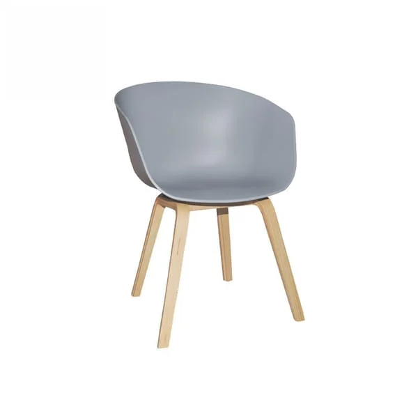 Contemporary Grey Matte Side Chair