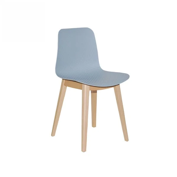 Minimalist Blue Matte Dining Chair