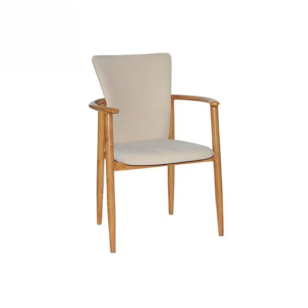 Modern Fabric Upholstered Armchair