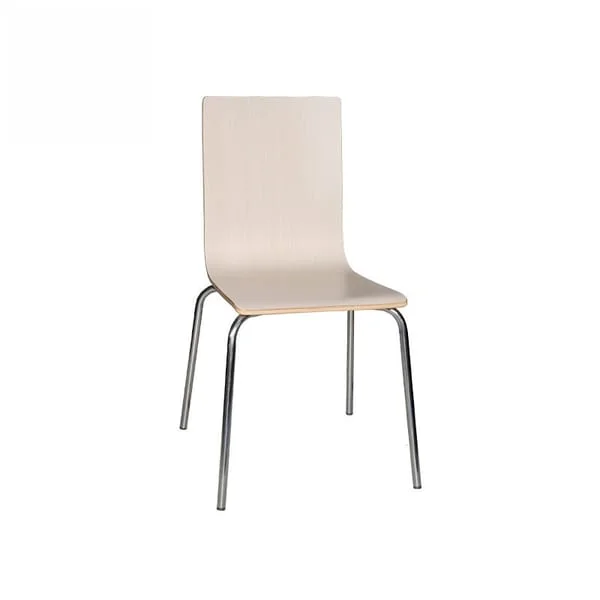 Minimalist Matte Finish Side Chair