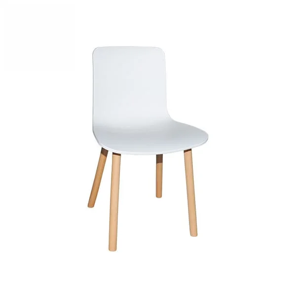 Minimalist White Matte Dining Chair