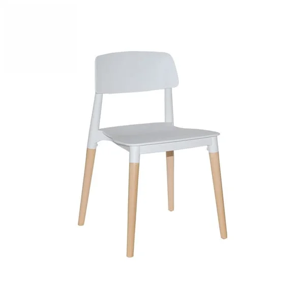Modern Matte Finish Dining Chair