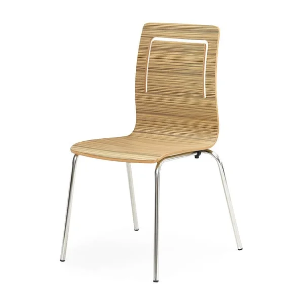 Minimalist Curved Wood Chair